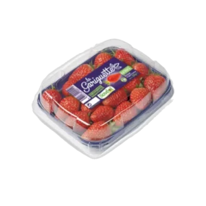 FRAISE GARIGUETTE LITEE BARQUETTE 250 GR