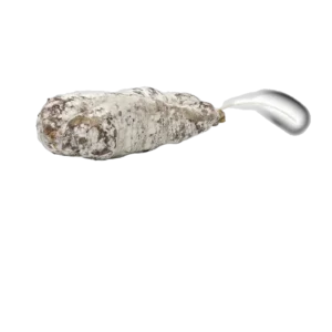SAUCISSON SEC 300 GR