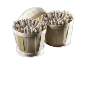 SAUCISSON STICK PICALOSTE NATURE 40 GR