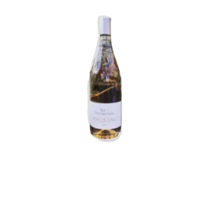 ORLEANS ROSE 2022 CLOS ST FIACRE 75 CL