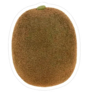 KIWI VERT GROS CALIBRE