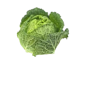 CHOU VERT