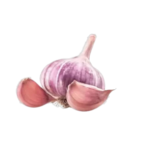 AIL VIOLET DE CADOURS AOP