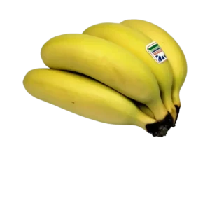 BANANE FRECINETTE