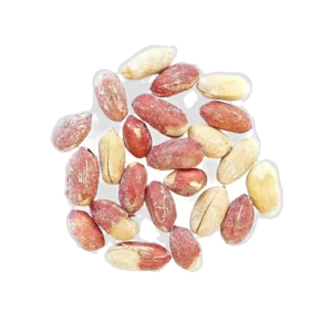 CACAHOUETES GRILLÉES SALEES