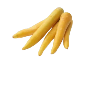 CAROTTE JAUNE