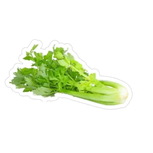CELERI BRANCHE VERT