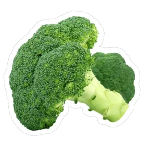 CHOU BROCOLIS VERT