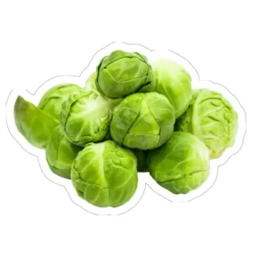 CHOU DE BRUXELLES