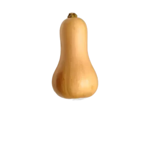 COURGE BUTTERNUT