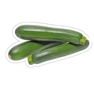 COURGETTE LONGUE
