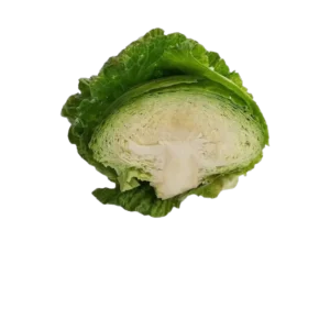 DEMI CHOU VERT