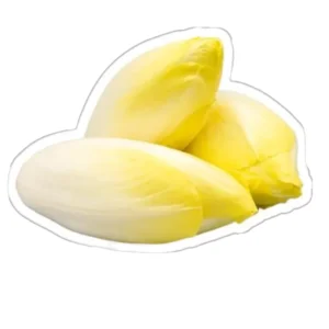 ENDIVE