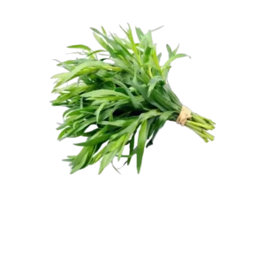 ESTRAGON BOTTE