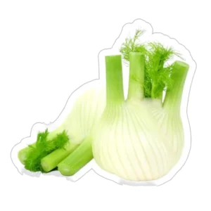FENOUIL