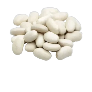 HARICOT BLANC LE MOULIN LAURENTAIS