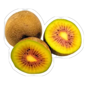 KIWI ROUGE