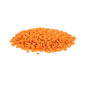 LENTILLE CORAIL