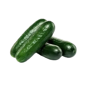 MINI CONCOMBRE