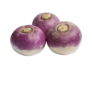 NAVET VIOLET NOUVEAU