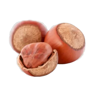 NOISETTES