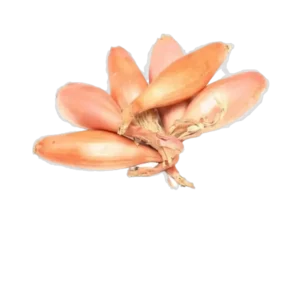 OIGNON ALLONGE CUISSE DE POULET
