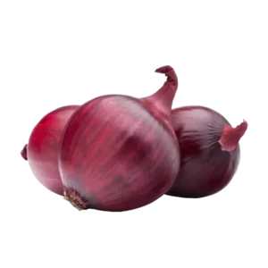OIGNON ROUGE NOUVEAU DU LOIRET