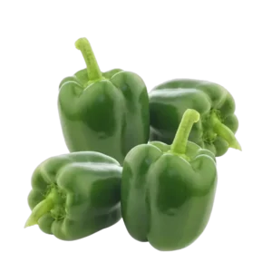 POIVRON VERT