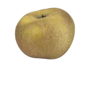 POMME CANADA GRIS
