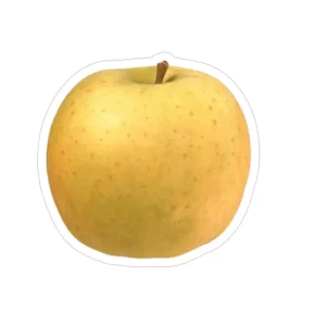 POMME CHANTECLERC GROS CALIBRE