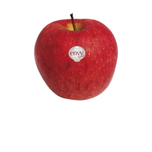 POMME ENVY SCILATE