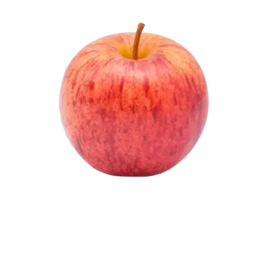 POMME GALA GROS CALIBRE