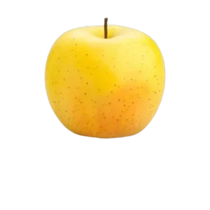 POMME GOLDEN GROS CALIBRE