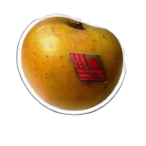 POMME GOLDRUSH DELISDOR