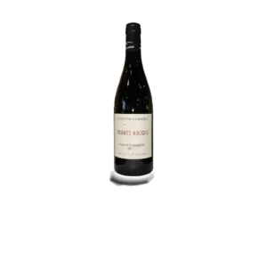 SAUMUR CHAMPIGNY ROUGE "TERRE ROUGE" 2022 75 CL