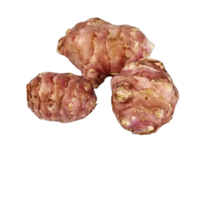 TOPINAMBOURG