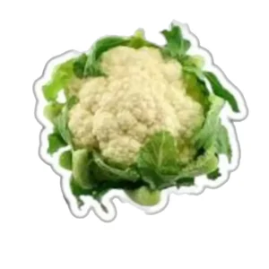 CHOU FLEUR BLANC GROS CALIBRE
