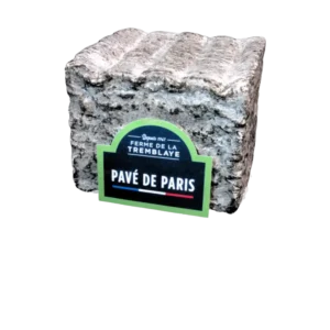 PAVE DE PARIS CHEVRE/VACHE DE LA FERME TREMBLAYE