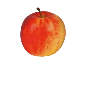 POMME JONAGOLD GROS CALIBRE