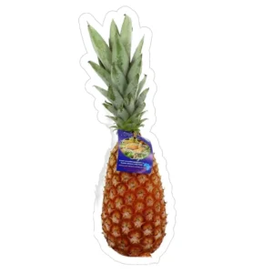 ANANAS PAIN DE SUCRE