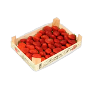 FRAISE PLATEAU LITÉ 1 KG